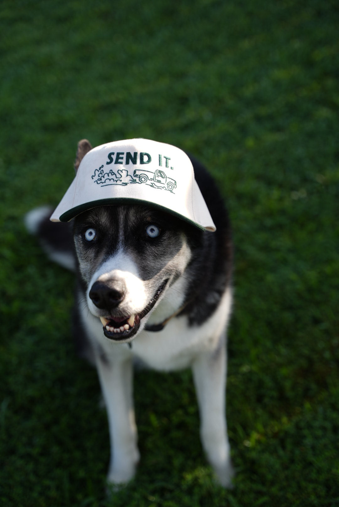 Send It