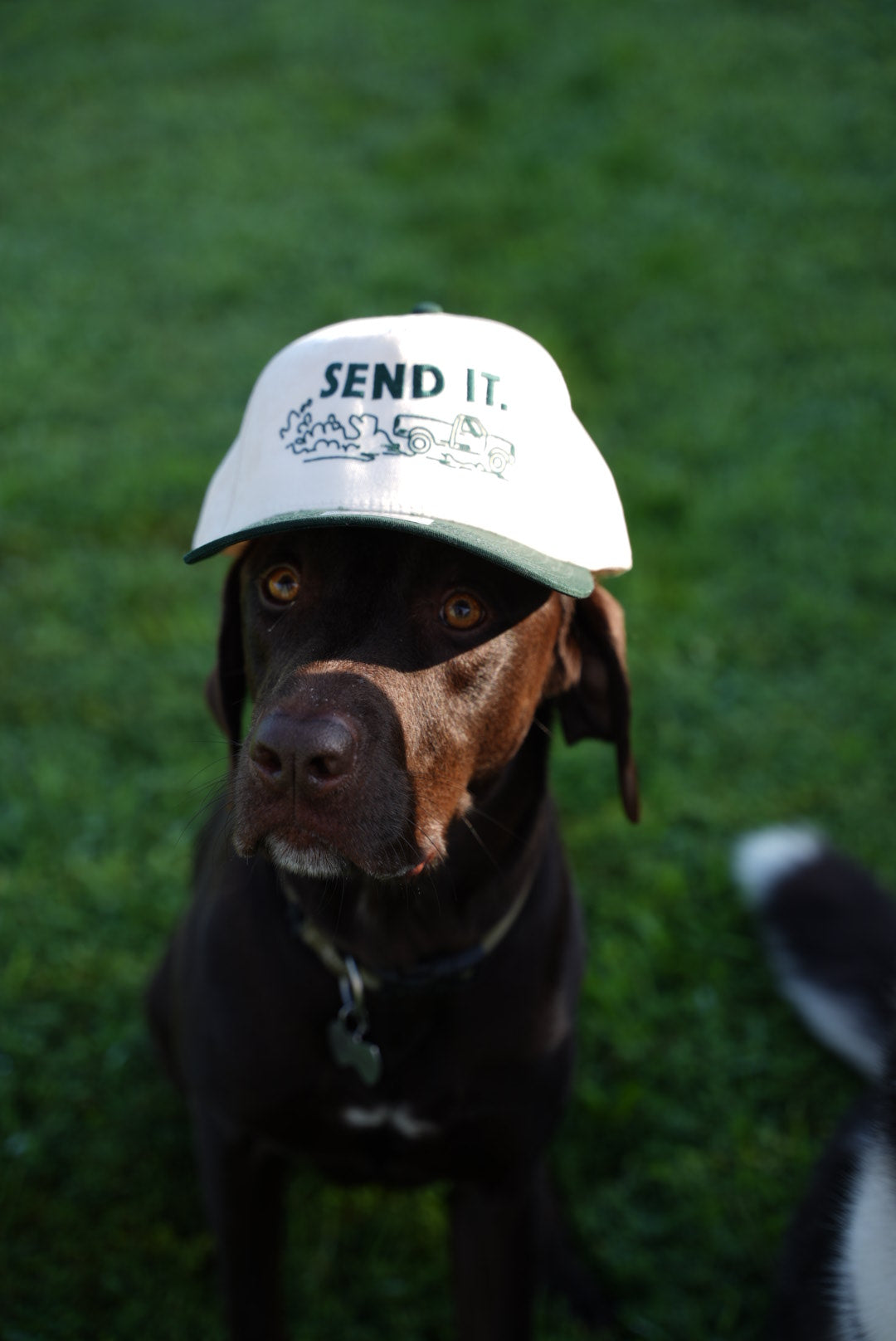 Send It